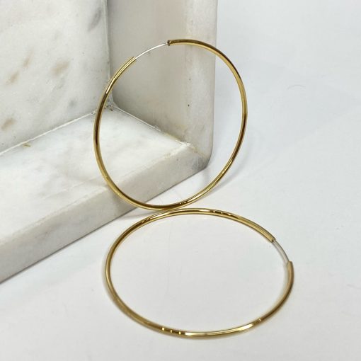 Risque CATCH Small Hoops Accessories